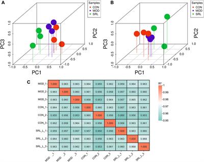 LncRNA-mediated ceRNA network reveals the mechanism of action of Saorilao-4 decoction against pulmonary fibrosis